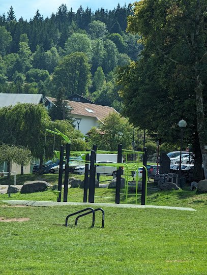 Foto de Appareil fitness street workout
