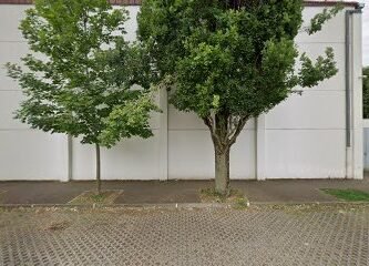 Foto de Gymnase