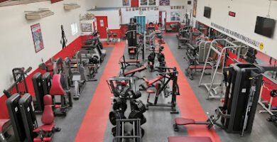 Foto de 36 Muscles Avenue