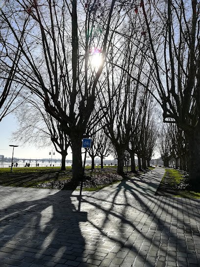 Foto de Centre de Culture Physique d'Aquitaine