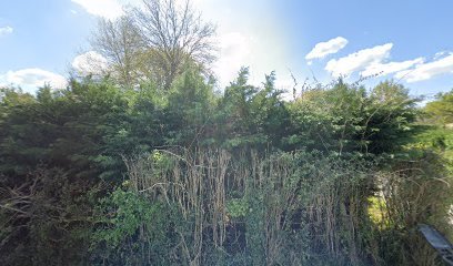 Foto de Le Yoga Fitness