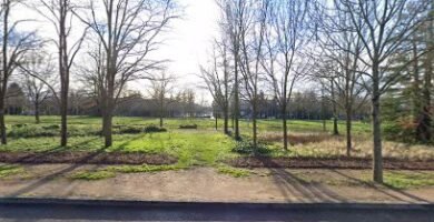 Foto de Calisthenics Outdoor Gym