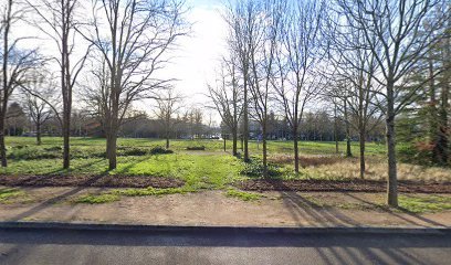 Foto de Calisthenics Outdoor Gym