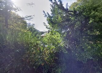 Foto de Francis et marceline