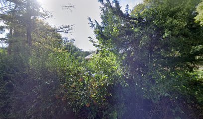 Foto de Francis et marceline