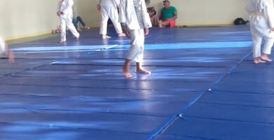 Foto de Gymnase de La Croix Blanche