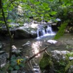 Foto de Parcours de santé LRSF