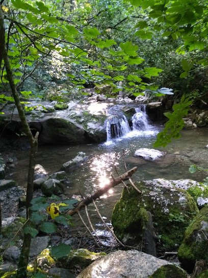 Foto de Parcours de santé LRSF