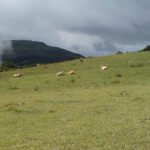 Foto de Gymnase Roux-Duplatre
