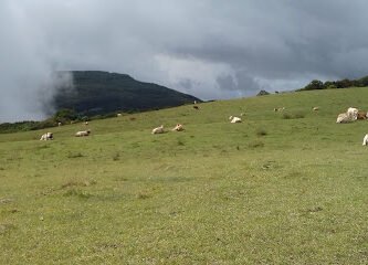 Foto de Gymnase Roux-Duplatre