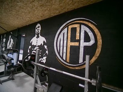 Foto de MMA fight performance