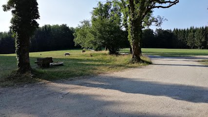 Foto de Mont poupet bike park
