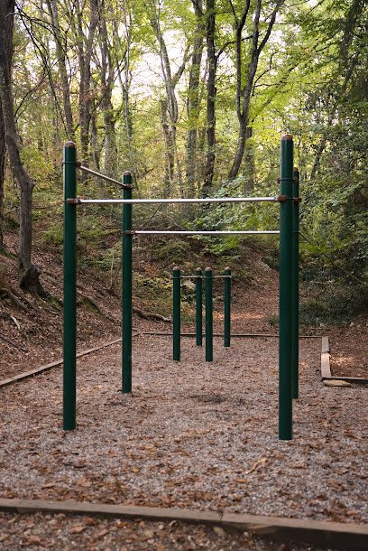 Foto de Parc Street-workout