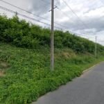 Foto de Salle Georges Bourbon