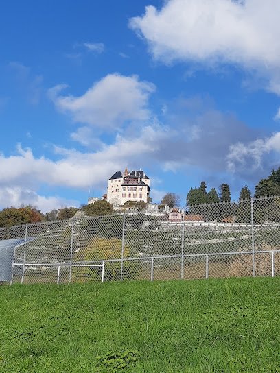 Foto de Stade Jean Dutour
