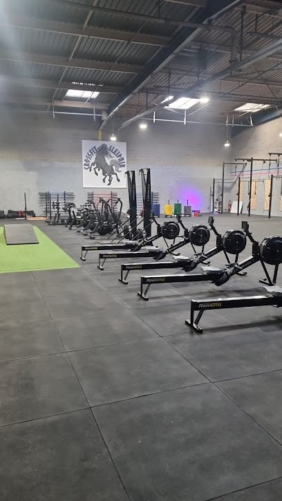 Foto de Crossfit sleipnir