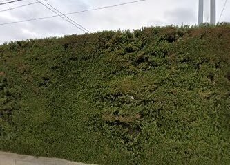 Foto de Mélina Garcia