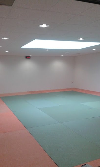 Foto de Olympique Judo Club 31 - Dojo de Calmont