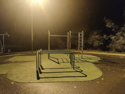 Foto de Parc de streetworkout