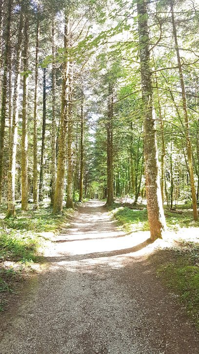 Foto de Parcours de santé