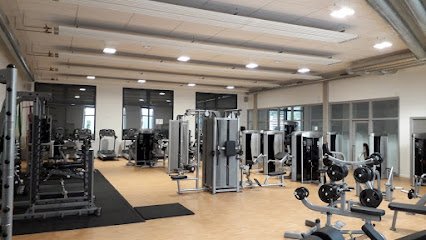 Foto de Salle de remise en forme (Musculation