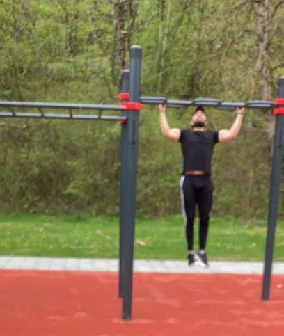 Foto de Street workout