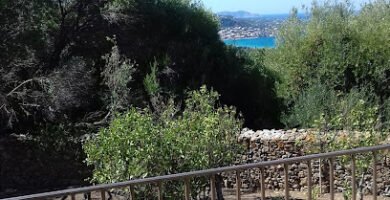 Foto de a corbara (carbunaghja)