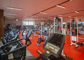 Foto de castelnau muscles & fitness