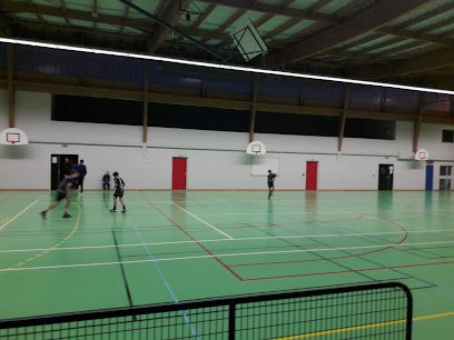 Foto de gymnase Roger Boulin